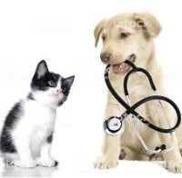 Caring Claws Veterinary Clinic
